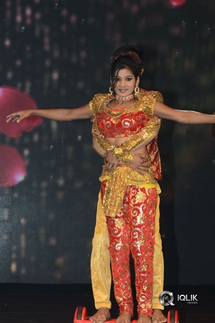 Fashion-Designer-Movie-Pre-Release-Function